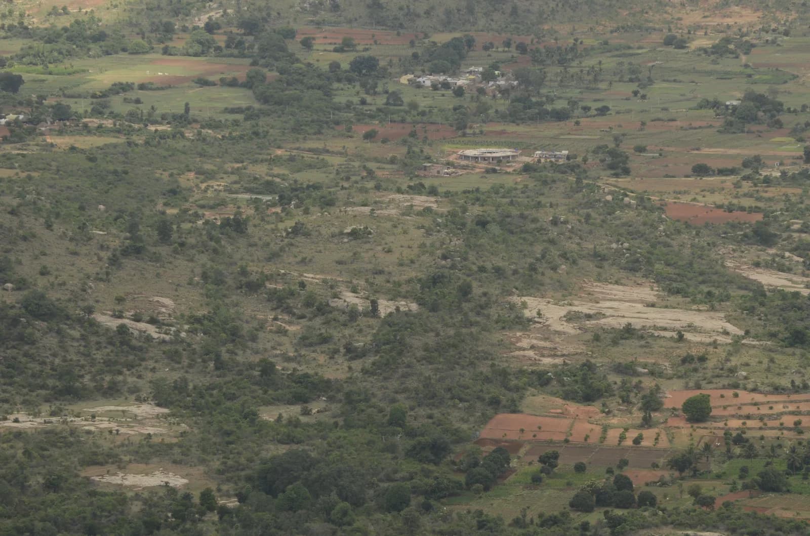 Horsley Hills & Mango Orchards