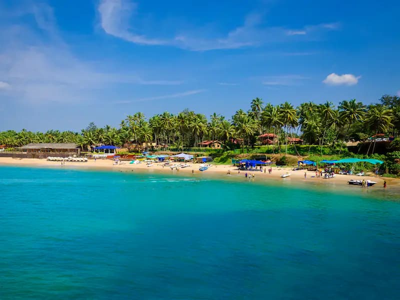 Sunlit Palm Beaches & Portuguese Architecture