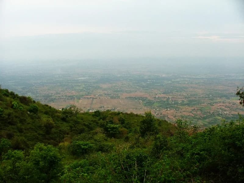 Tirupattur Yelagiri Foothills & Sandalwood Forests